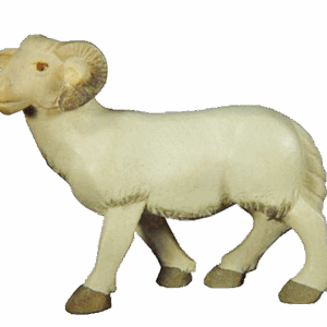 Rowi-Lukas Krippe: Schafbock
