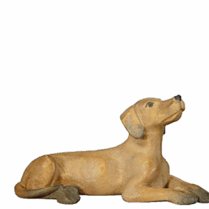 Rowi-Lukas Krippe: Hund