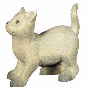 Rowi-Lukas Krippe: Katze