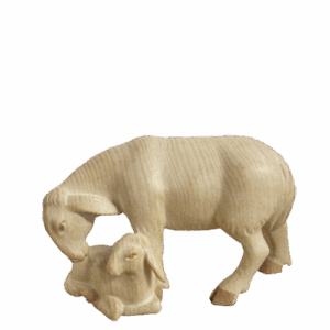 Rowi-Lukas-Krippe: Schaf