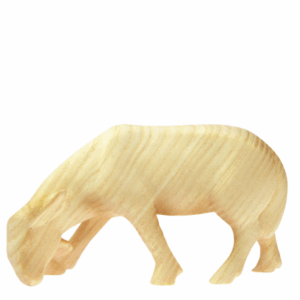 Leonardo-Krippe: Schaf