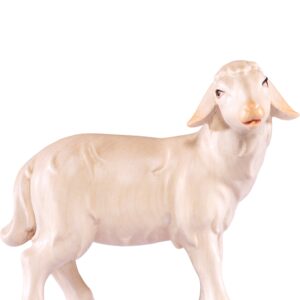 Artis Krippe: Schaf