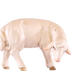 Artis Krippe: Schaf
