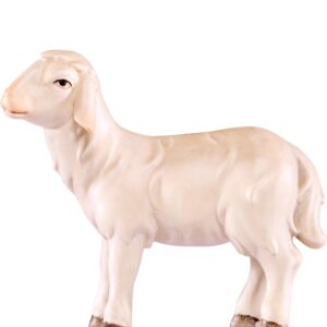 Artis Krippe: Schaf