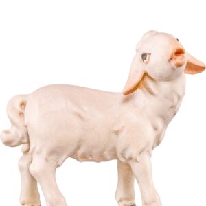 Artis Krippe: Lamm