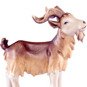Artis Krippe: Ziegenbock