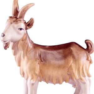 Artis Krippe: Ziege