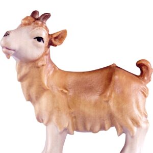 Artis Krippe: Ziegenkitz