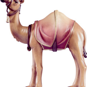 Artis Krippe: Kamel