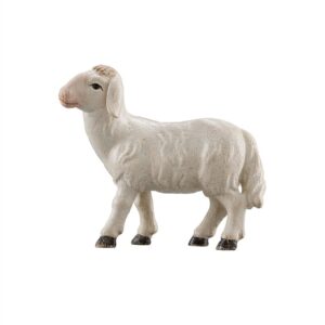 Orient-Krippe: Schaf