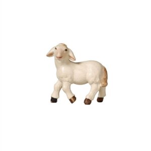 Orient Krippe: Lamm