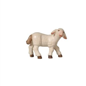 Pema-Paulus Krippe: Lamm
